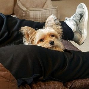 Meet your Posher, Karen